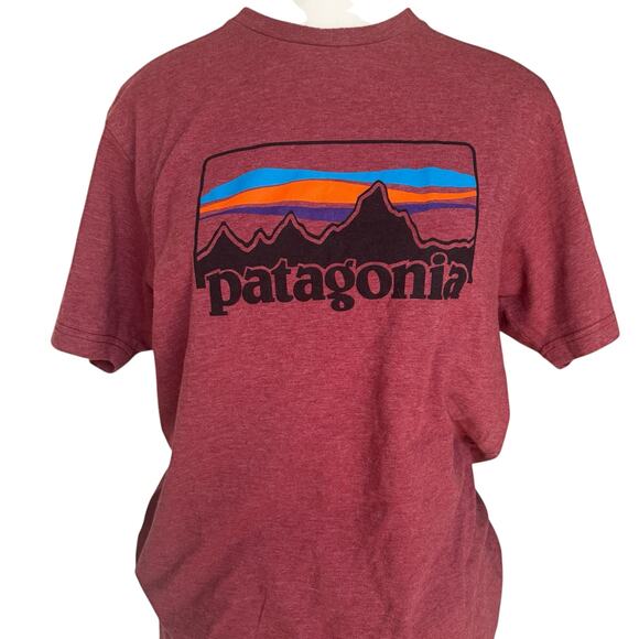 Patagonia Logo Tee Maroon Slim Fit Womens Medium Short Sleeve Mountain Graphic - Picture 2 of 10